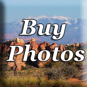 Buy Photos